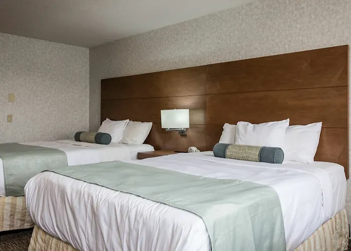 Hotel &